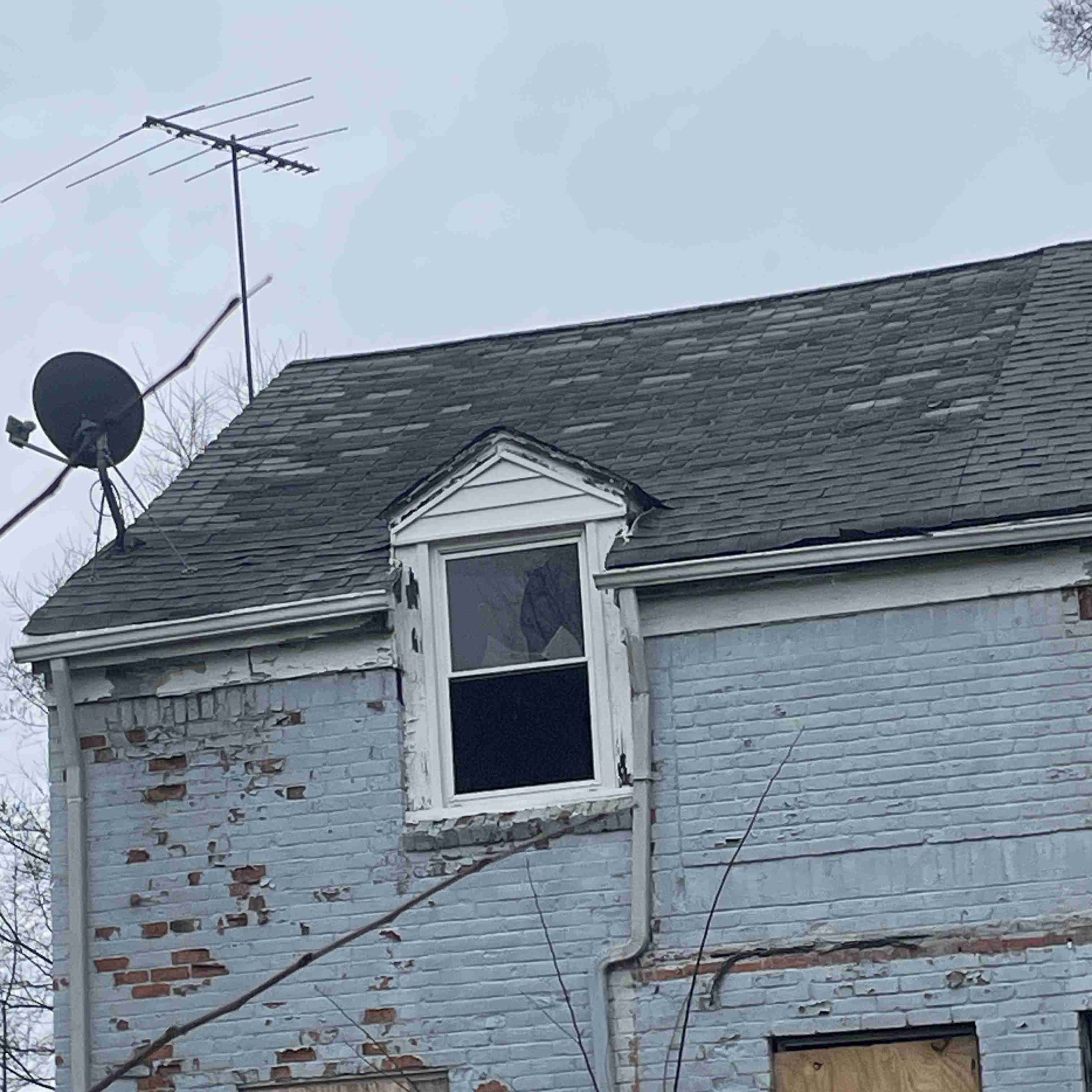 20015 Schoenherr (4).jpg